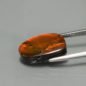 أموليت متعدد الألوان طبيعي، شكل خيالي، 5.02 قيراط، غير شفاف