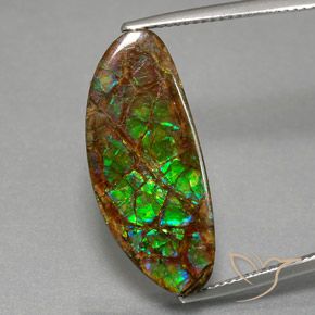 12.02ct طبيعي متعدد الألوان أموليت, فانسى, غير شفاف
