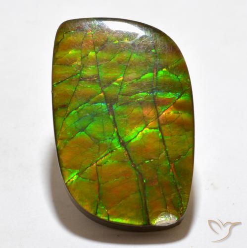19.27ct طبيعي متعدد الألوان أموليت, فانسى, غير شفاف