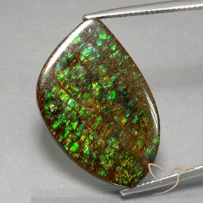 21.29ct طبيعي متعدد الألوان أموليت, فانسى, غير شفاف