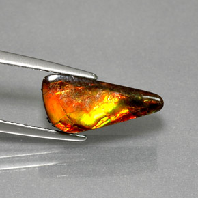أموليت طبيعي بلون متعدد الألوان، وزن ‎3.13‎ قيراط، شكل شكل خيالي، مقاس ‎14.6x6.7‎ مم