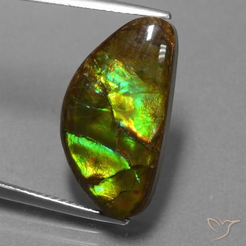 11.30ct طبيعي متعدد الألوان أموليت, فانسى, غير شفاف