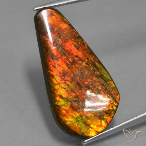14.87ct طبيعي متعدد الألوان أموليت, فانسى, غير شفاف
