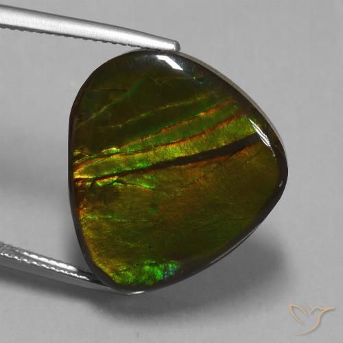16.74ct طبيعي متعدد الألوان أموليت, فانسى, غير شفاف