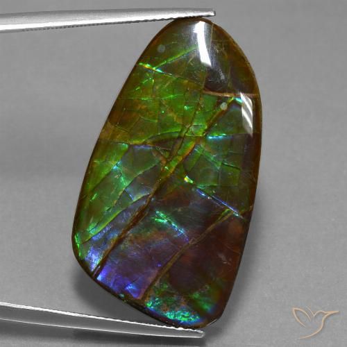23.16ct طبيعي متعدد الألوان أموليت, فانسى, غير شفاف