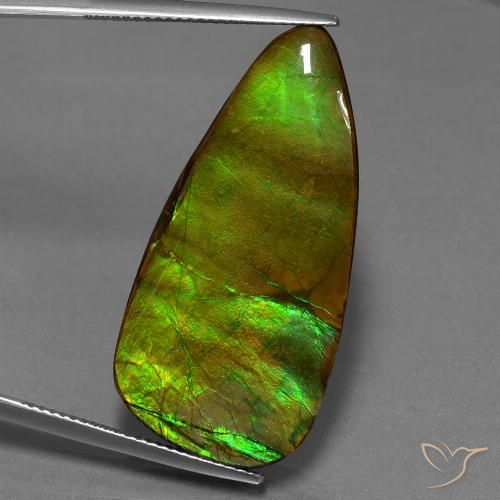 24.28ct طبيعي متعدد الألوان أموليت, فانسى, غير شفاف