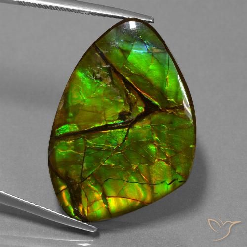 24.51ct طبيعي متعدد الألوان أموليت, فانسى, غير شفاف