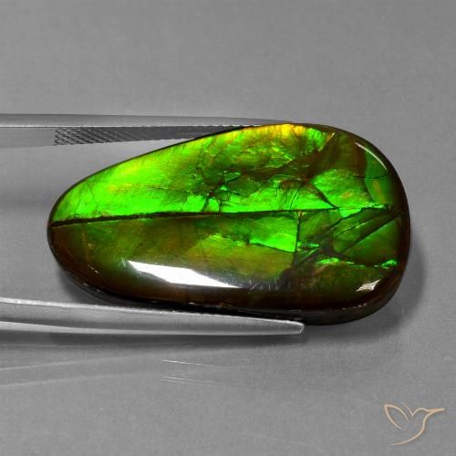 21.60ct طبيعي متعدد الألوان أموليت, فانسى, غير شفاف