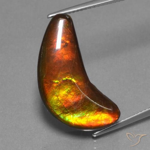 12.08ct طبيعي متعدد الألوان أموليت, فانسى, غير شفاف