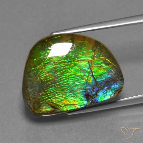 12.44ct طبيعي متعدد الألوان أموليت, فانسى, غير شفاف