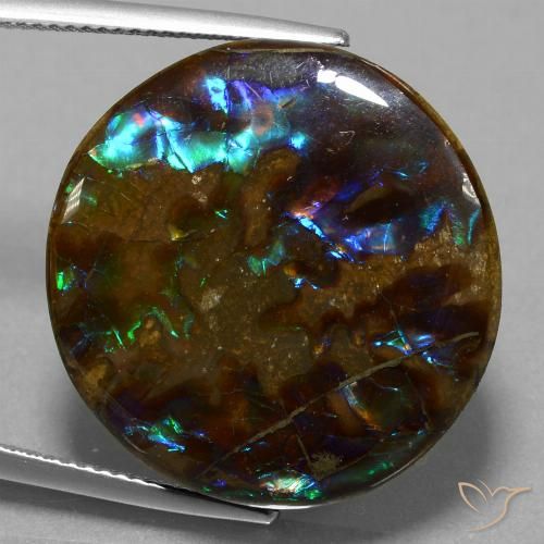 27.20ct طبيعي متعدد الألوان أموليت, دائري, غير شفاف