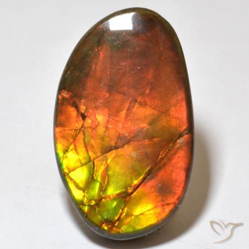 21.93ct طبيعي متعدد الألوان أموليت, فانسى, غير شفاف