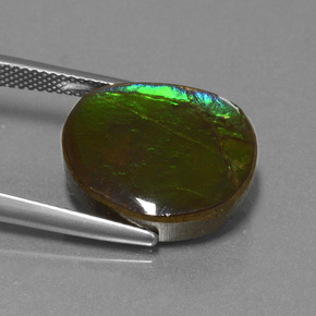 أموليت متعدد الألوان طبيعي، شكل خيالي، 10.58 قيراط، غير شفاف