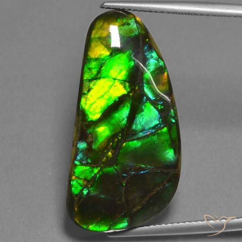 23.45ct طبيعي متعدد الألوان أموليت, فانسى, غير شفاف