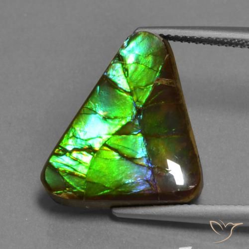 11.30ct طبيعي متعدد الألوان أموليت, مثلثى, غير شفاف, Photo A