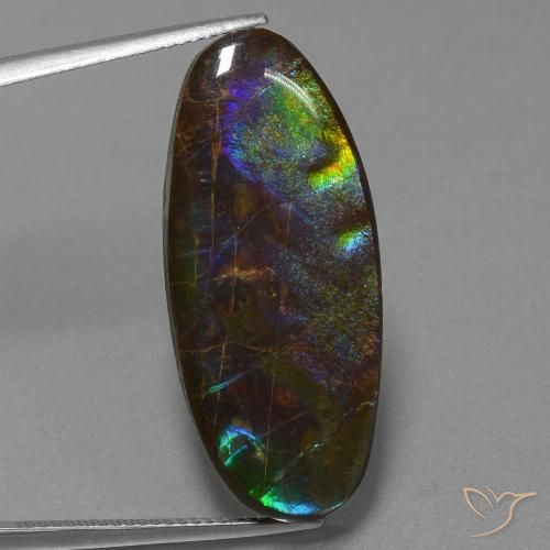22.01ct طبيعي متعدد الألوان أموليت, بيضوي, غير شفاف