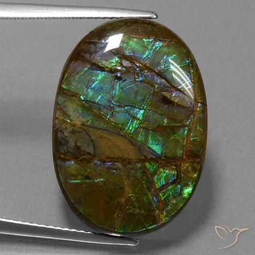 18.60ct طبيعي متعدد الألوان أموليت, بيضوي, غير شفاف