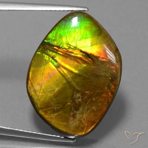 16.27ct طبيعي متعدد الألوان أموليت, فانسى, غير شفاف
