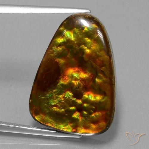 15.67ct طبيعي متعدد الألوان أموليت, مثلثى, غير شفاف