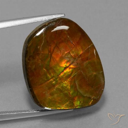 16.13ct طبيعي متعدد الألوان أموليت, فانسى, غير شفاف, Photo A