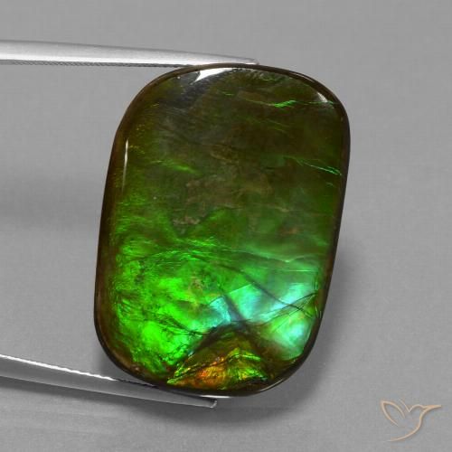 21.97ct طبيعي متعدد الألوان أموليت, وسادة, غير شفاف