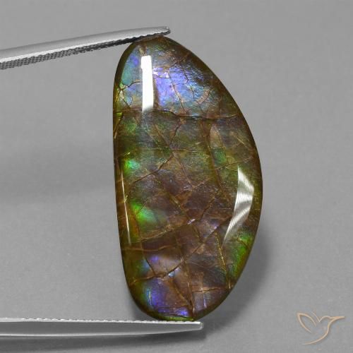 26.24ct طبيعي متعدد الألوان أموليت, فانسى, غير شفاف