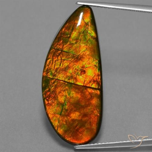 18.94ct طبيعي متعدد الألوان أموليت, فانسى, غير شفاف