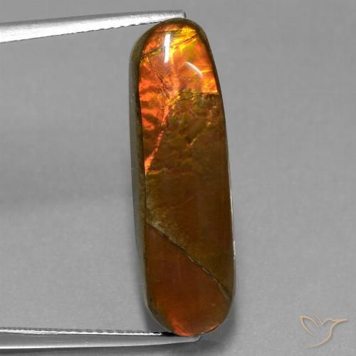10.96ct طبيعي متعدد الألوان أموليت, فانسى, غير شفاف
