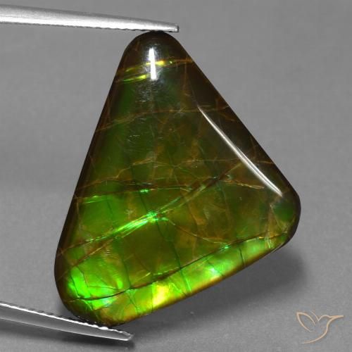 21.83ct طبيعي متعدد الألوان أموليت, مثلثى, غير شفاف