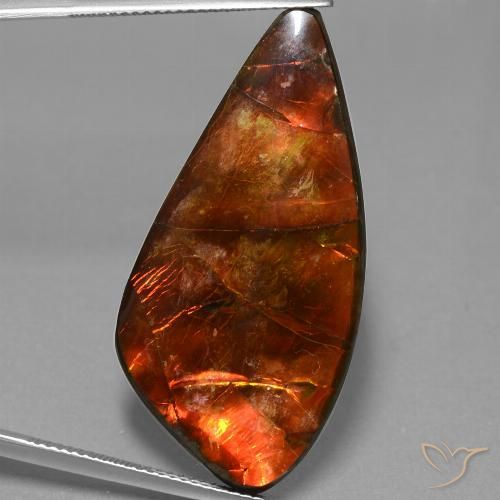 23.09ct طبيعي متعدد الألوان أموليت, فانسى, غير شفاف