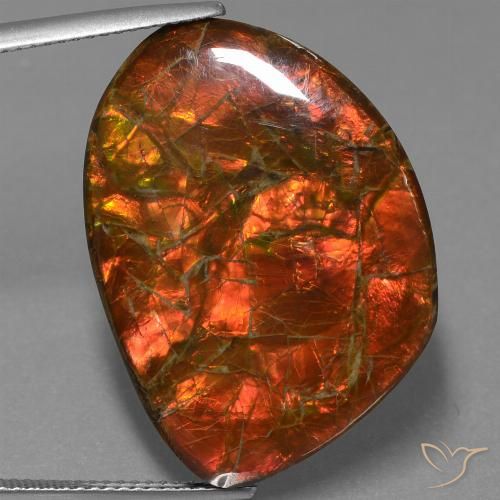 25.32ct طبيعي متعدد الألوان أموليت, فانسى, غير شفاف