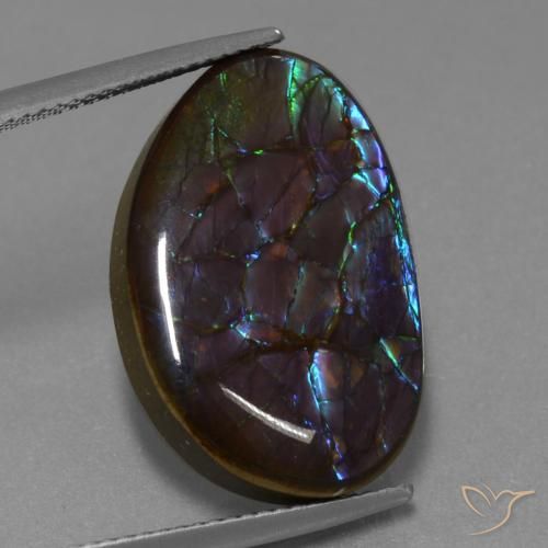 14.02ct طبيعي متعدد الألوان أموليت, فانسى, غير شفاف
