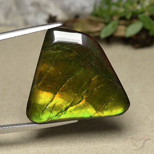 18.57ct طبيعي متعدد الألوان أموليت, فانسى, غير شفاف