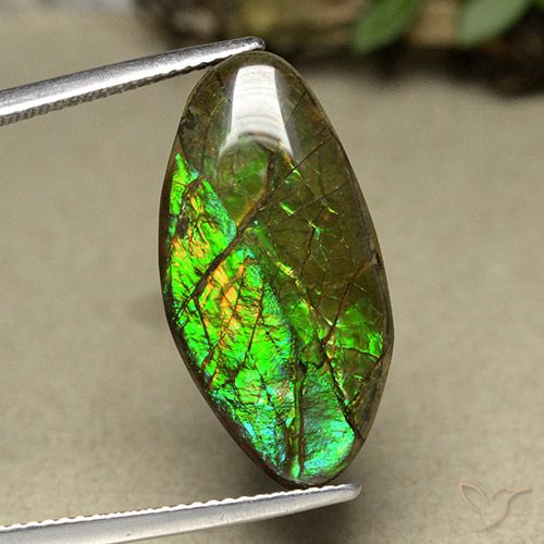 12.62ct طبيعي متعدد الألوان أموليت, فانسى, غير شفاف