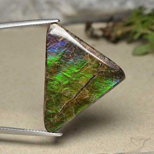 20.55ct طبيعي متعدد الألوان أموليت, مثلثى, غير شفاف