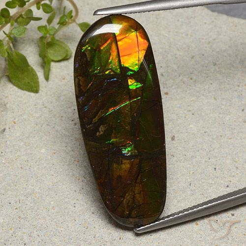 19.11ct طبيعي متعدد الألوان أموليت, فانسى, غير شفاف