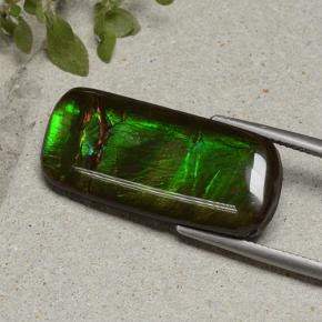 أموليت متعدد الألوان طبيعي، قطع وسادة، 18.74 قيراط، غير شفاف