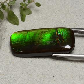 أموليت متعدد الألوان طبيعي، قطع وسادة، 18.74 قيراط، غير شفاف