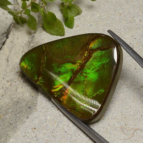 22.87ct طبيعي متعدد الألوان أموليت, فانسى, غير شفاف
