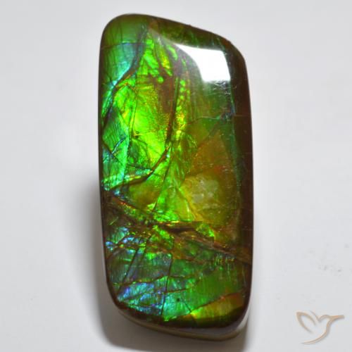 23.38ct طبيعي متعدد الألوان أموليت, فانسى, غير شفاف