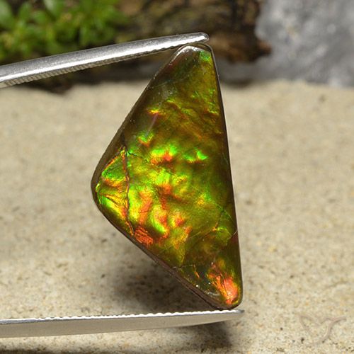 12.19ct طبيعي متعدد الألوان أموليت, مثلثى, غير شفاف