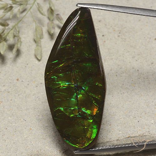 19.53ct طبيعي متعدد الألوان أموليت, فانسى, غير شفاف
