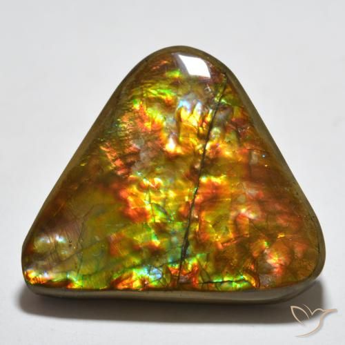 16.58ct طبيعي متعدد الألوان أموليت, مثلثى, غير شفاف