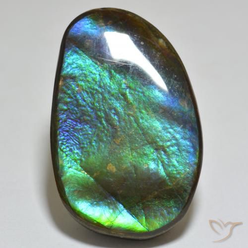 23.81ct طبيعي متعدد الألوان أموليت, فانسى, غير شفاف