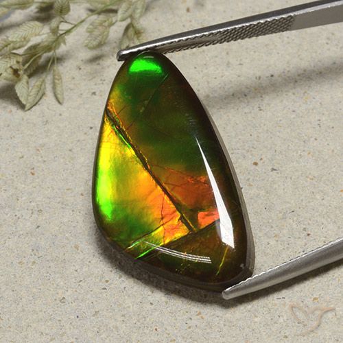 17.24ct طبيعي متعدد الألوان أموليت, فانسى, غير شفاف
