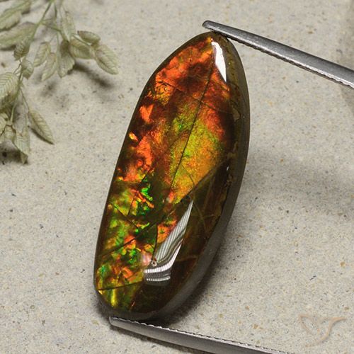 15.74ct طبيعي متعدد الألوان أموليت, فانسى, غير شفاف