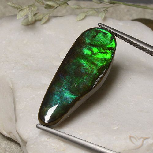 11.06ct طبيعي متعدد الألوان أموليت, فانسى, غير شفاف