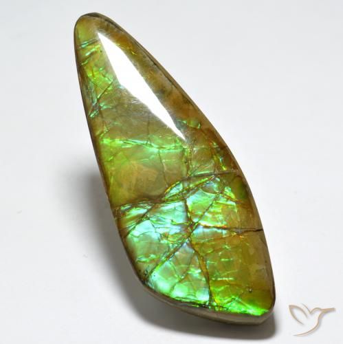 24.80ct طبيعي متعدد الألوان أموليت, فانسى, غير شفاف