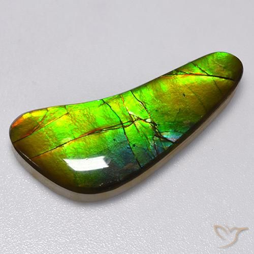 13.02ct طبيعي متعدد الألوان أموليت, فانسى, غير شفاف