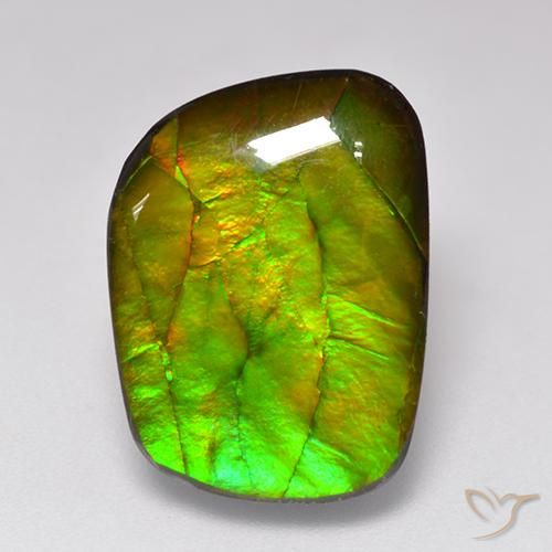 11.49ct طبيعي متعدد الألوان أموليت, فانسى, غير شفاف